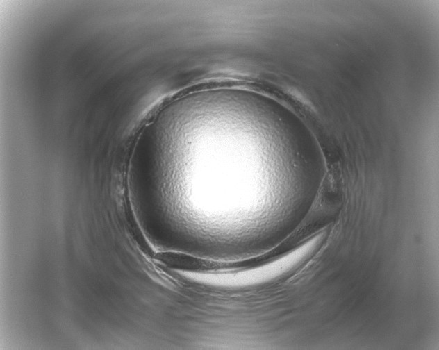 X0000066001355200603101520