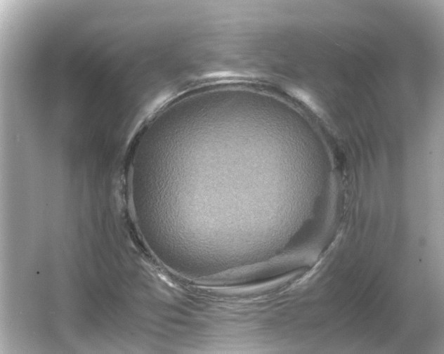 X0000066001357200603101520