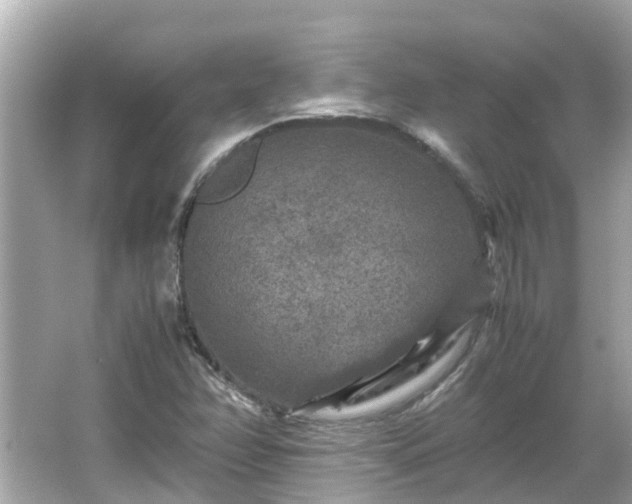 X0000066001358200603101520