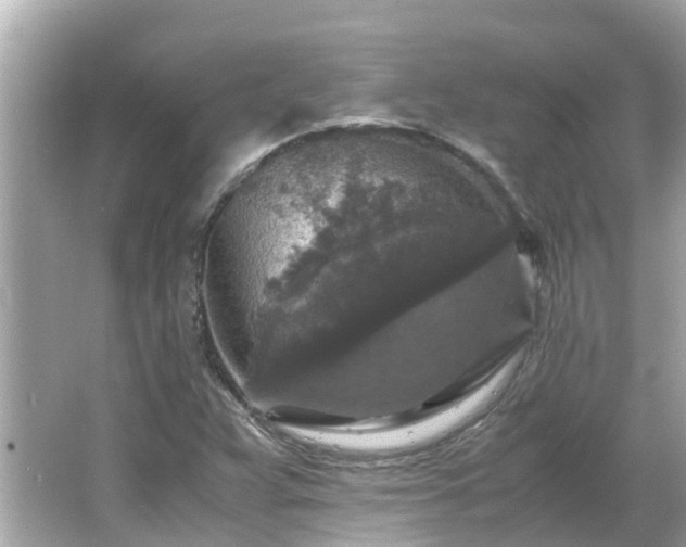 X0000066001359200603101520