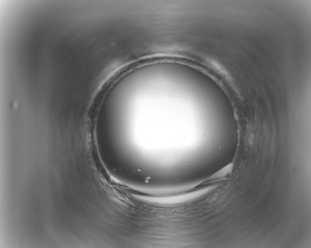 X0000066001360200603101520