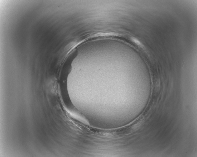 X0000066001361200603101520