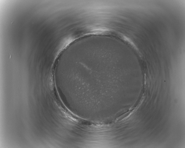 X0000066001362200603101520