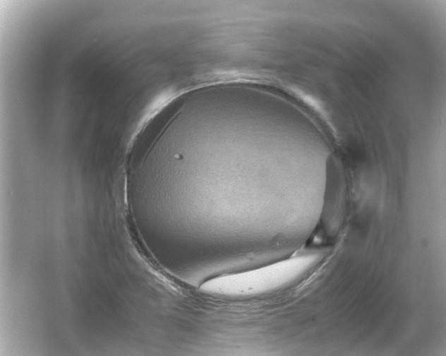 X0000066001365200603101519