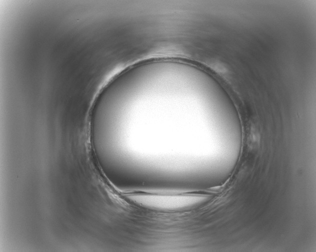 X0000066001366200603101519