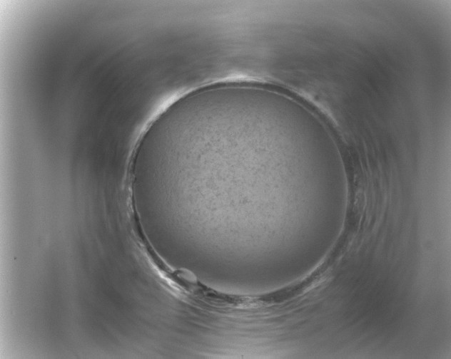 X0000066001367200603101519