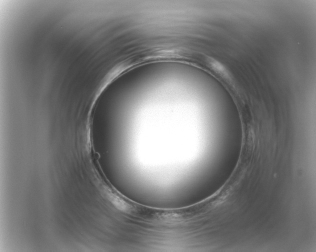 X0000066001370200603101519