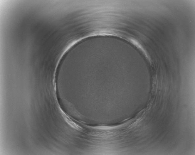 X0000066001372200603101519