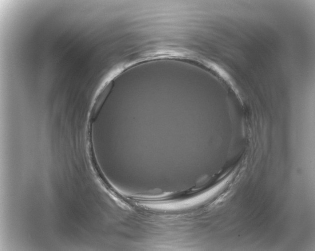 X0000066001373200603101519