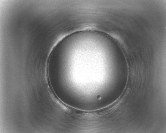 X0000066001374200603101519