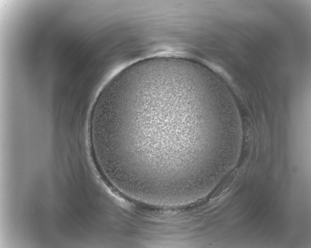 X0000066001375200603101519