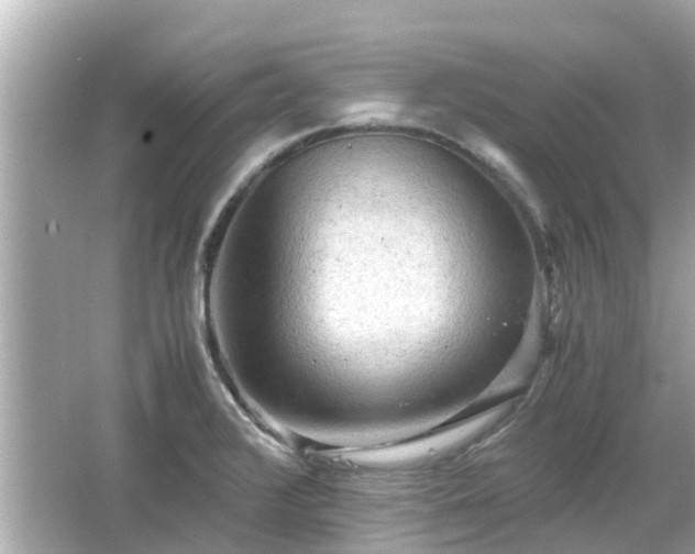 X0000066001376200603101519