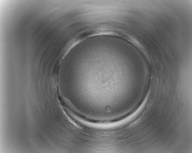 X0000066001377200603101519