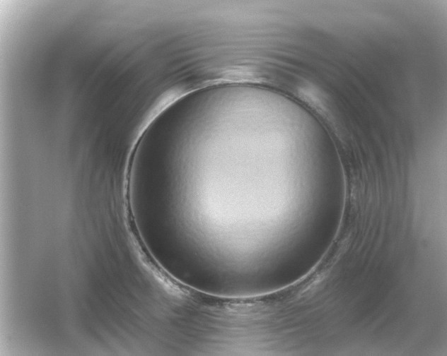 X0000066001378200603101519