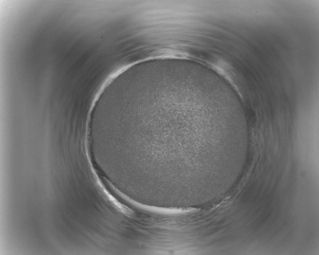 X0000066001379200603101519