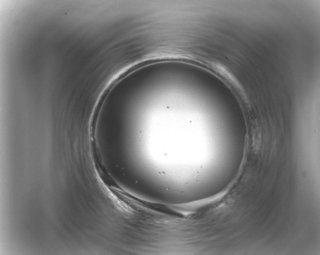 X0000066001380200603101519