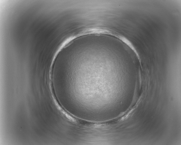 X0000066001381200603101519