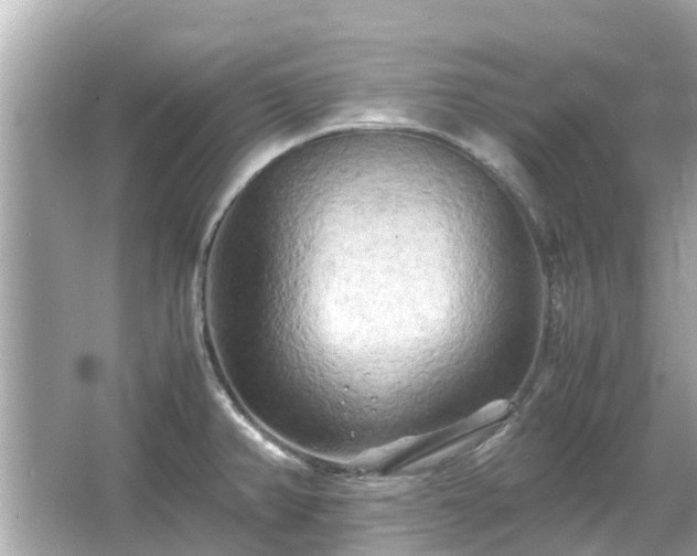 X0000066001382200603101519