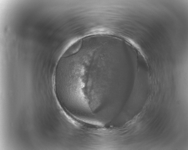 X0000066001383200603101519