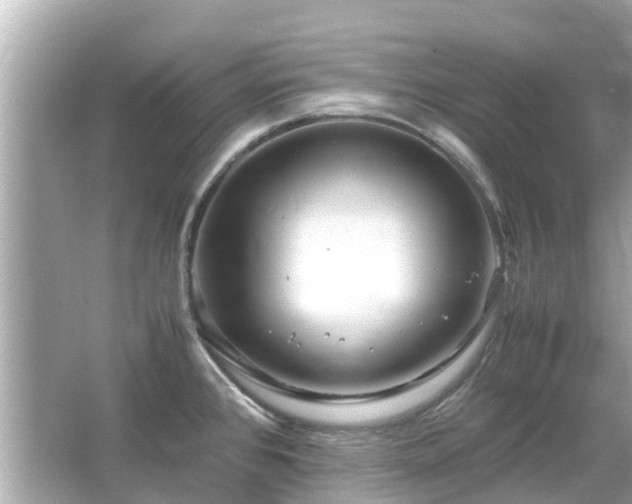 X0000066001384200603101519