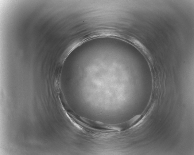 X0000066001385200603101519