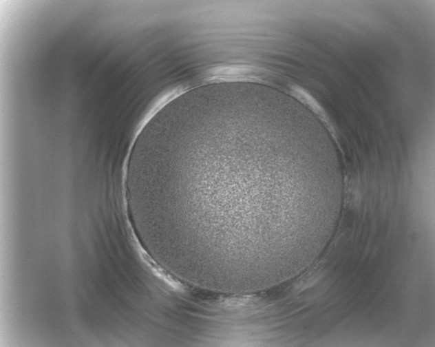 X0000066001386200603101519