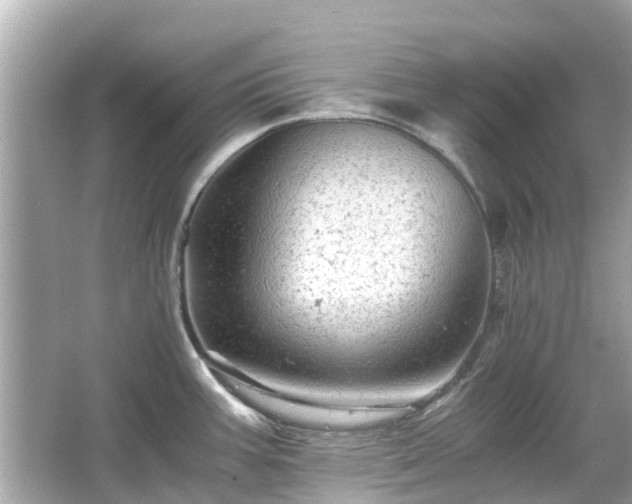 X0000066001387200603101519