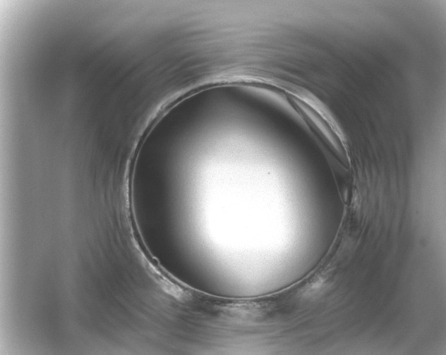 X0000066001388200603101519