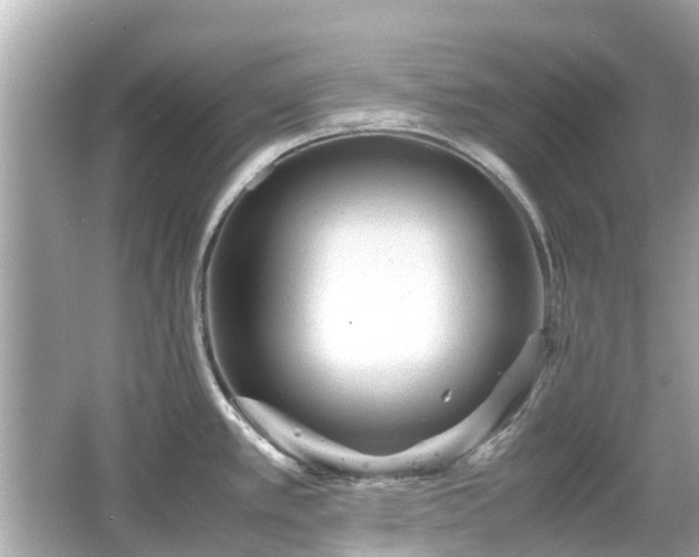 X0000066001389200603101519