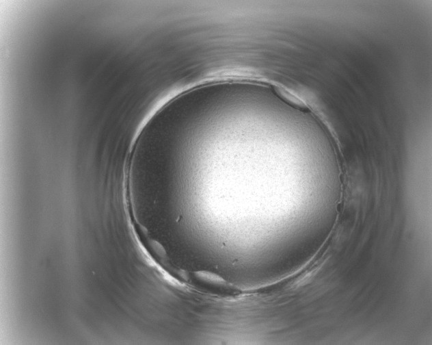 X0000066001390200603101519