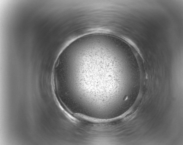 X0000066001391200603101519