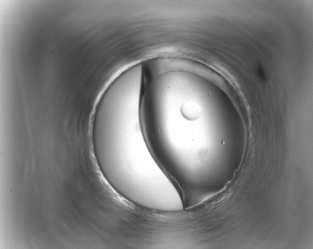 X0000066001392200603101519