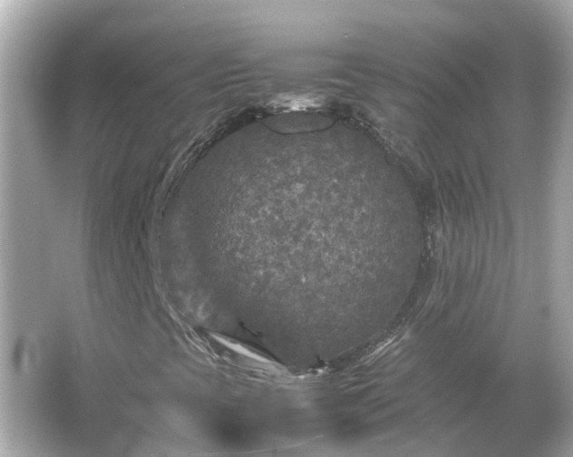 X0000066001393200603101518