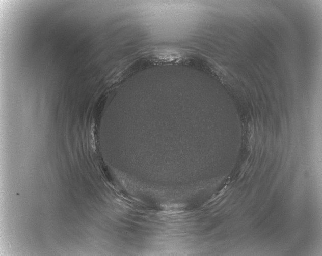 X0000066001394200603101518