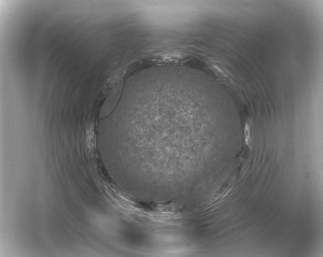 X0000066001395200603101518