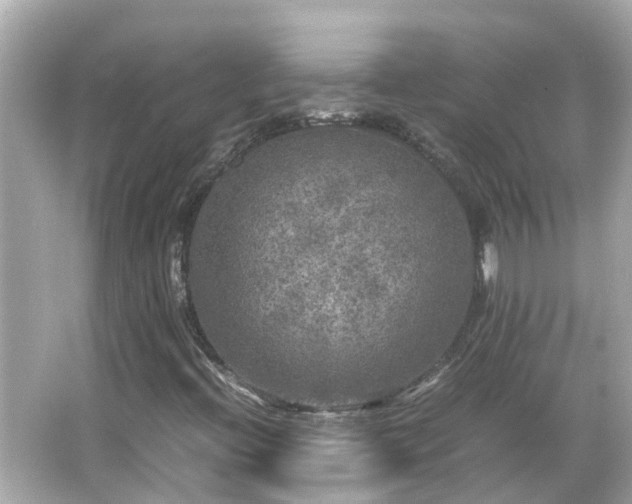 X0000066001396200603101518