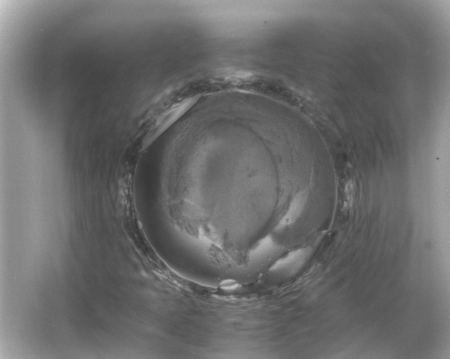 X0000066001397200603101518