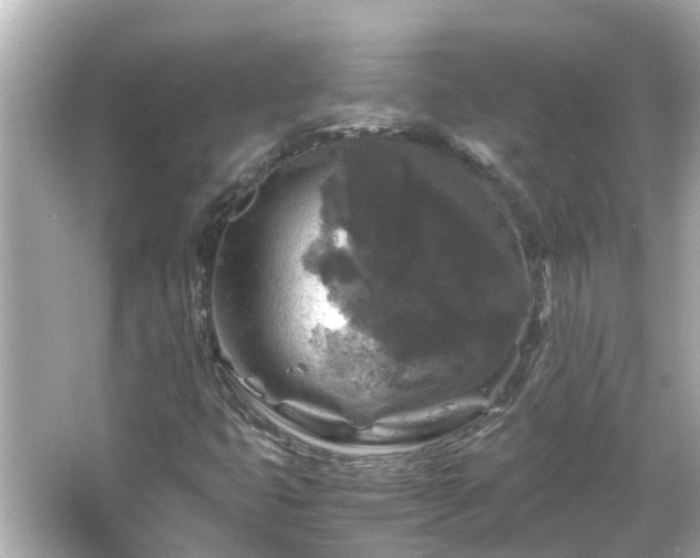 X0000066001399200603101518