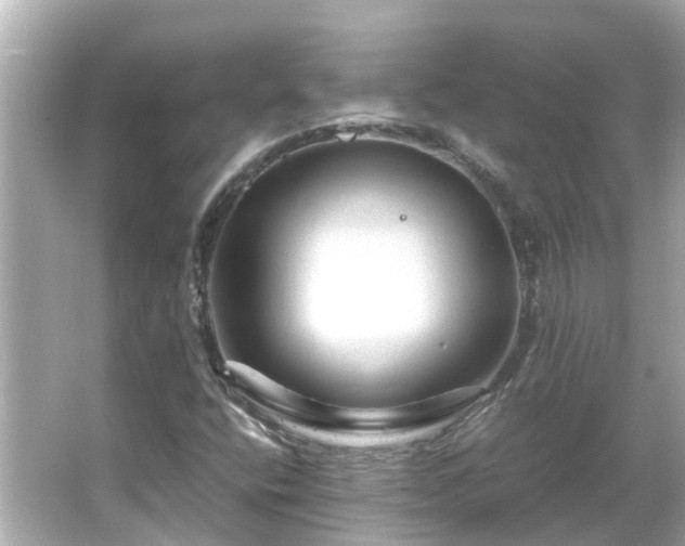 X0000066001400200603101518