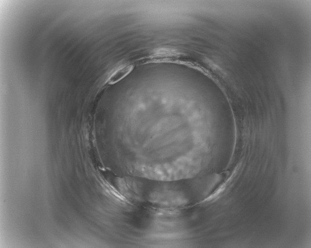 X0000066001401200603101518