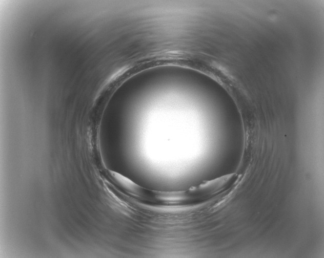 X0000066001402200603101518