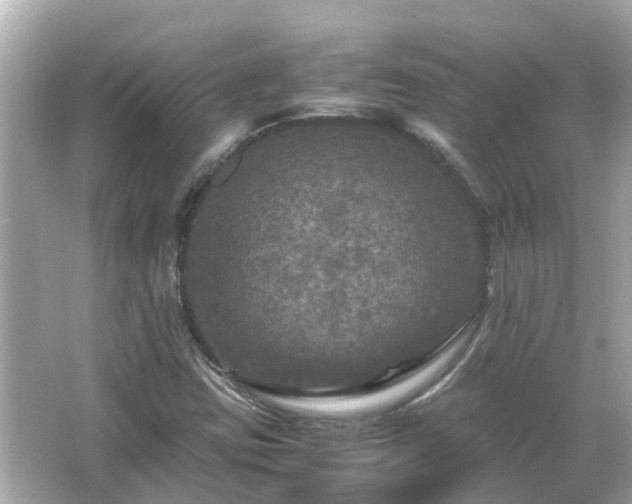 X0000066001403200603101518