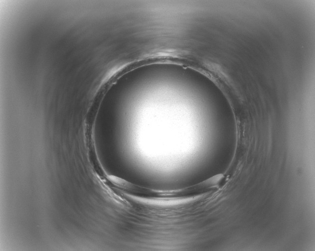 X0000066001404200603101518