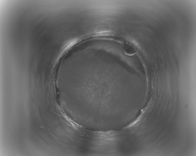 X0000066001405200603101518