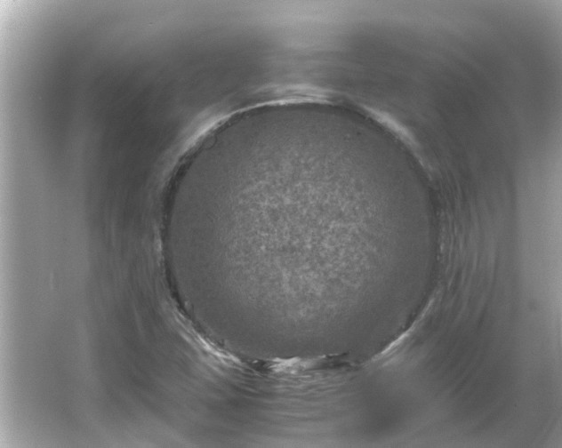 X0000066001407200603101518