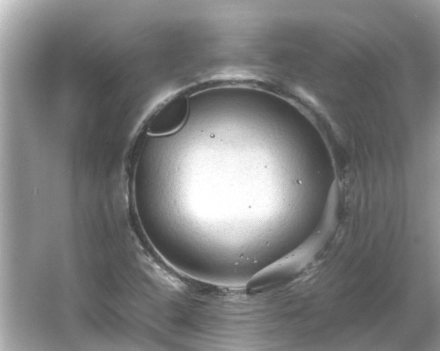 X0000066001408200603101518