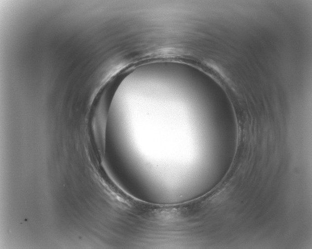 X0000066001410200603101519