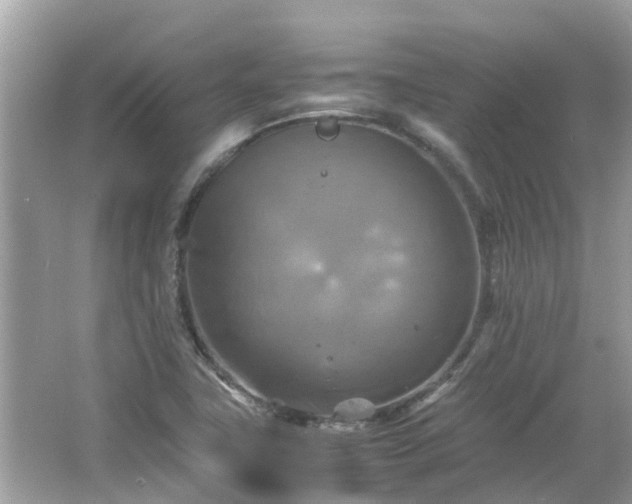 X0000066001411200603101519