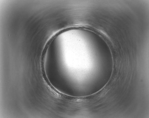 X0000066001412200603101519