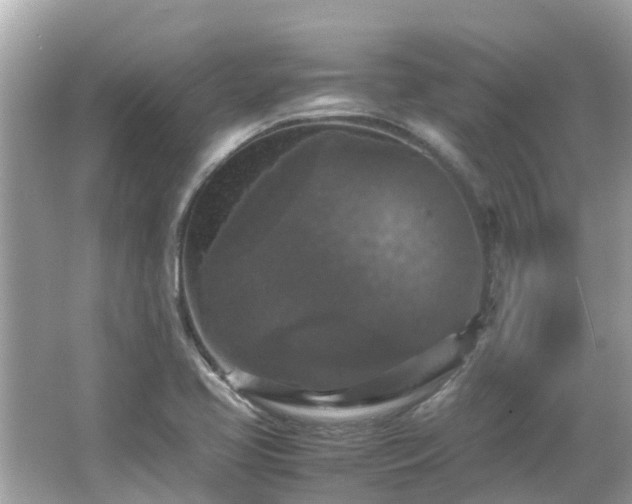 X0000066001413200603101519